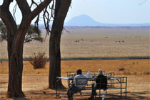 Serengeti NP