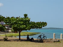 Man onder boom in Stone Town