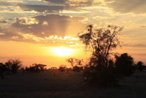 Zonsondergang Masaai mara