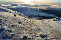 Kilimanjaro