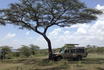 Lake Manyara NP